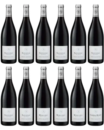 Domaine Belleville Tasting Case: 2020 and 2021