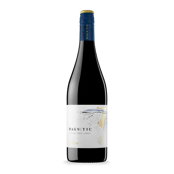 Torres Magnetic Garnacha Syrah 2024 75cl