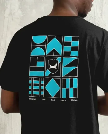 Bar Flags T-Shirt