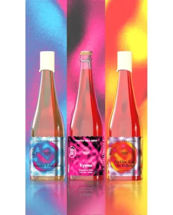 2026 Vintage Fruited Barrel-Aged Beer Mixed 3-Pack
