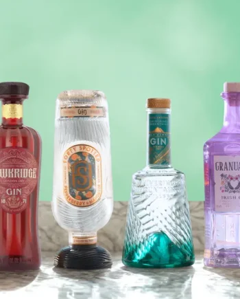 Best Selling Gins Bundle