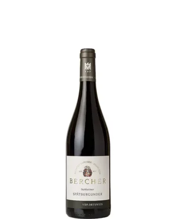 Bercher, Burkheimer Spätburgunder Village, 2017 - Half-bottle