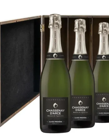 Chassenay d'Arce Cuvee Premiere Brut Champagne 75cl Three Bottle Luxury Elm Wood Gift Box