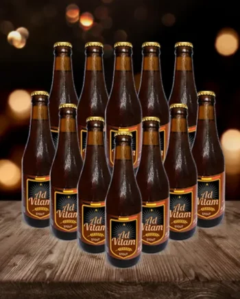 Ad Vitam Belgian Stout 330ml Bottles - 7% ABV (12 Pack) - Best Before Date - August 2025